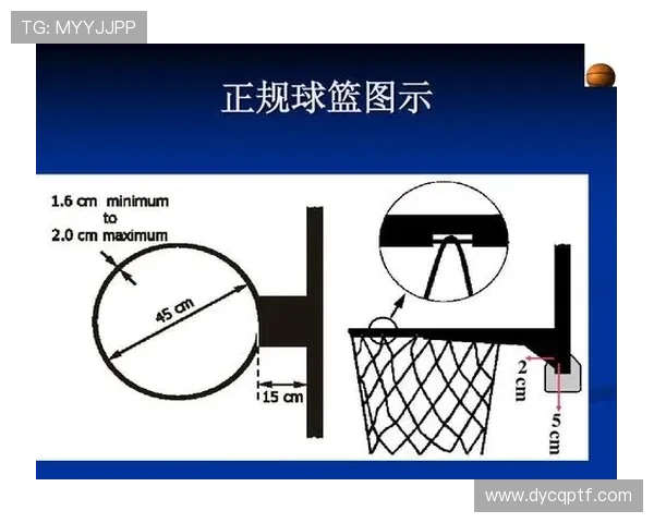 篮球中线规则详解：判断回场的关键依据